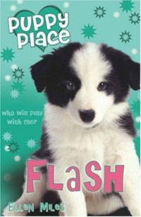 Image of Puppy Place: Flash