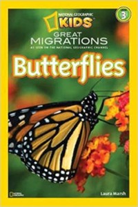 Image of Butterflies