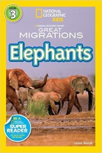 Image of Elephants