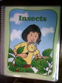 Image of Insects