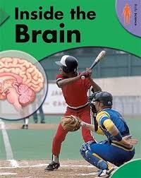 Image of Inside the Brain