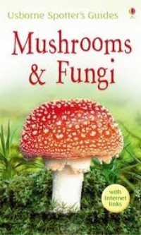 Image of Mushrooms & Fungi