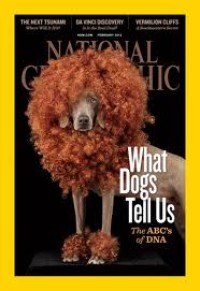 Image of National Geographic: What Dogs Tell Us The ABCs of DNA