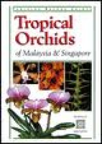 Image of Tropical Orchids Of Indonesia