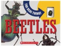 Image of The Real Thing! Beetles