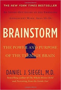 Image of Brainstorm