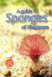 Image of A Guide To Sponges Of Singapore