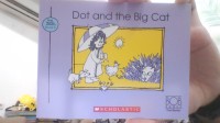 Image of Dot and the Big Cat