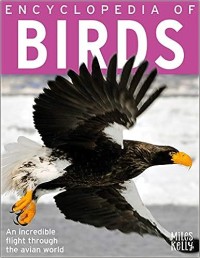 Image of Encyclopedia of Birds