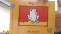 Image of Frog Sat