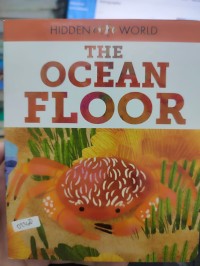 Image of Hidden World: The Ocean Floor
