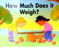 Image of How Much Does It Weight?