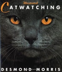 Image of Illustrated Catwatching