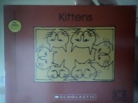 Image of Kittens