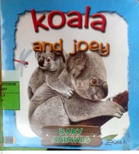 Image of Koala and Joey