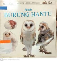 Image of Melihat Mereka Tumbuh Anak Burung Hantu