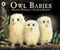 Image of Owl Babies