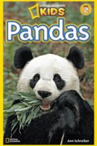 Image of Pandas