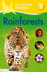 Image of Rainforests