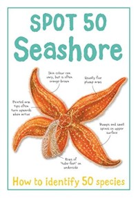 Image of Spot 50 - Seashore