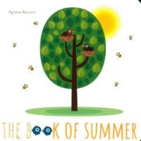 Image of The book of Summer