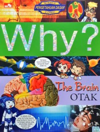 Image of Why? The Brain