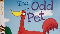 Image of Julia Donaldson’s Songbirds: The Odd Pet (Book 7, Stage 2)
