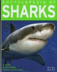 Image of Sharks