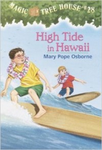 Image of HIgh Tide in Hawaii