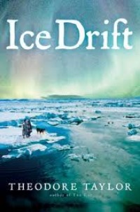 Image of Ice Drift