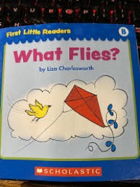 Image of What Flies?