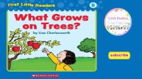 Image of What Grows on Trees?
