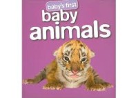 Image of Baby Animals​