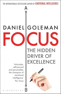 Image of Focus: The Hidden Driver of Excellence