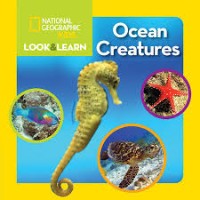 Image of National Geographic Kids Look and Learn: Ocean Creatures