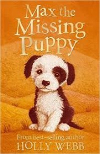 Image of Max the Missing Puppy