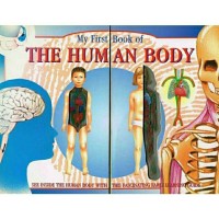 Image of My First Book of the Human Body
