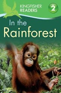 Image of In The Rainforest