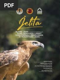 Image of Jelita Elang Jawa (Nisaetus bartelsi): Sang Penguasa Langit yang Kembali Mengudara