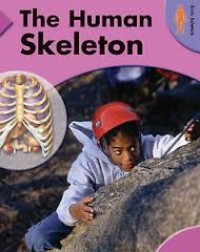 Image of The Human Skeleton
