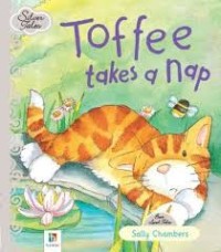 Image of Toffee takes a Nap