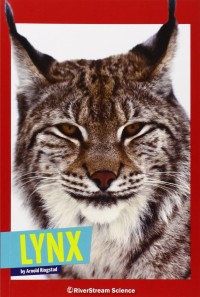Image of Lynx (Wild Cats)