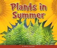 Image of Plants in Summer