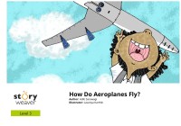Image of How Do Aeroplanes Fly?