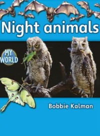 Image of Night Animals